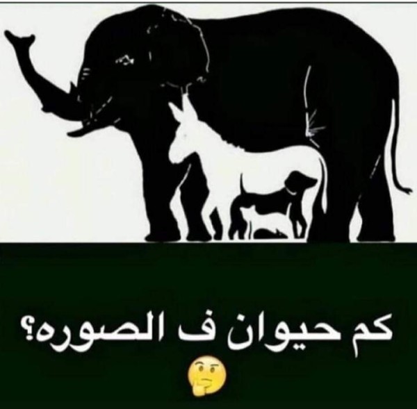 كم حيوان في الصورة الفيل مع الحل