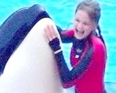 المدربة دون برانشو ويكيبيديا