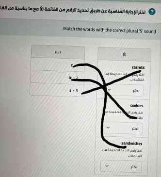 Match the words with the correct plural 'S' sound