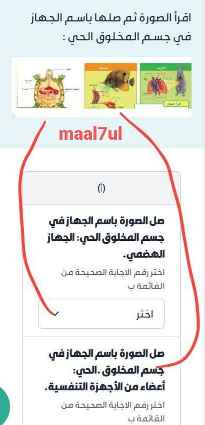 اقرأ الصورة ثم صلها باسم الجهاز في جسم المخلوق الحي