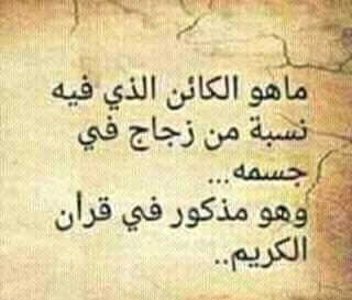حل لغز ما هو الكائن الذي فيه نسبة من زجاج في جسمه وهو مذكور في القرآن الكريم