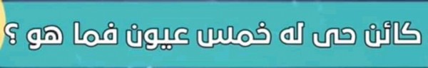 حل لغز كائن حي له خمس عيون فما هو