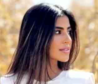 من هي حنين حامد ويكيبيديا عمرها مواليد كم؟ اصلها من وين؟ ديانتها، جنسيتها، اعمالها، اختها، زوجها السيرة الذاتية