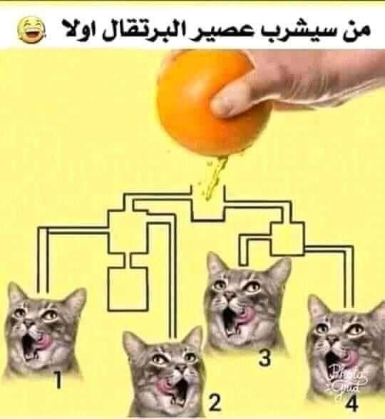 من سيشرب عصير البرتقال اولا