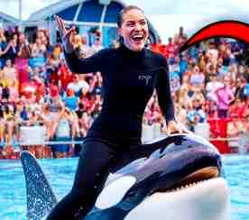 المدربة أوركا جيسيكا رادكليف ويكيبيديا Jessica Radcliffe dolphin، اللحظات الأخيرة المرعبة لمدربة أوركا جيسيكا رادكليف