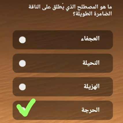 ماهو المصطلح الذي يطلق على الناقه الضامره الطويله