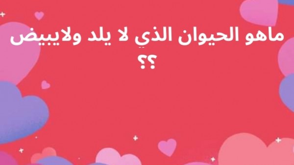 حل لغز ما هو الحيوان الذي لا يلد ولا يبيض