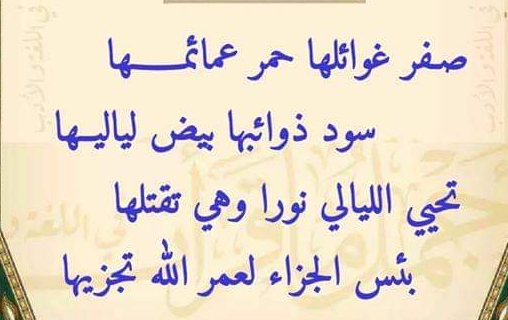 حل لغز صفر غوائلها حمر عمائمها سود ذوائبها بيض لياليها تحيي الليالي نوراً وهي تقتلها بئس الجزاء لعمر الله تجزيها فما هي