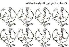 حل لغز این الدجاجه المختلفه